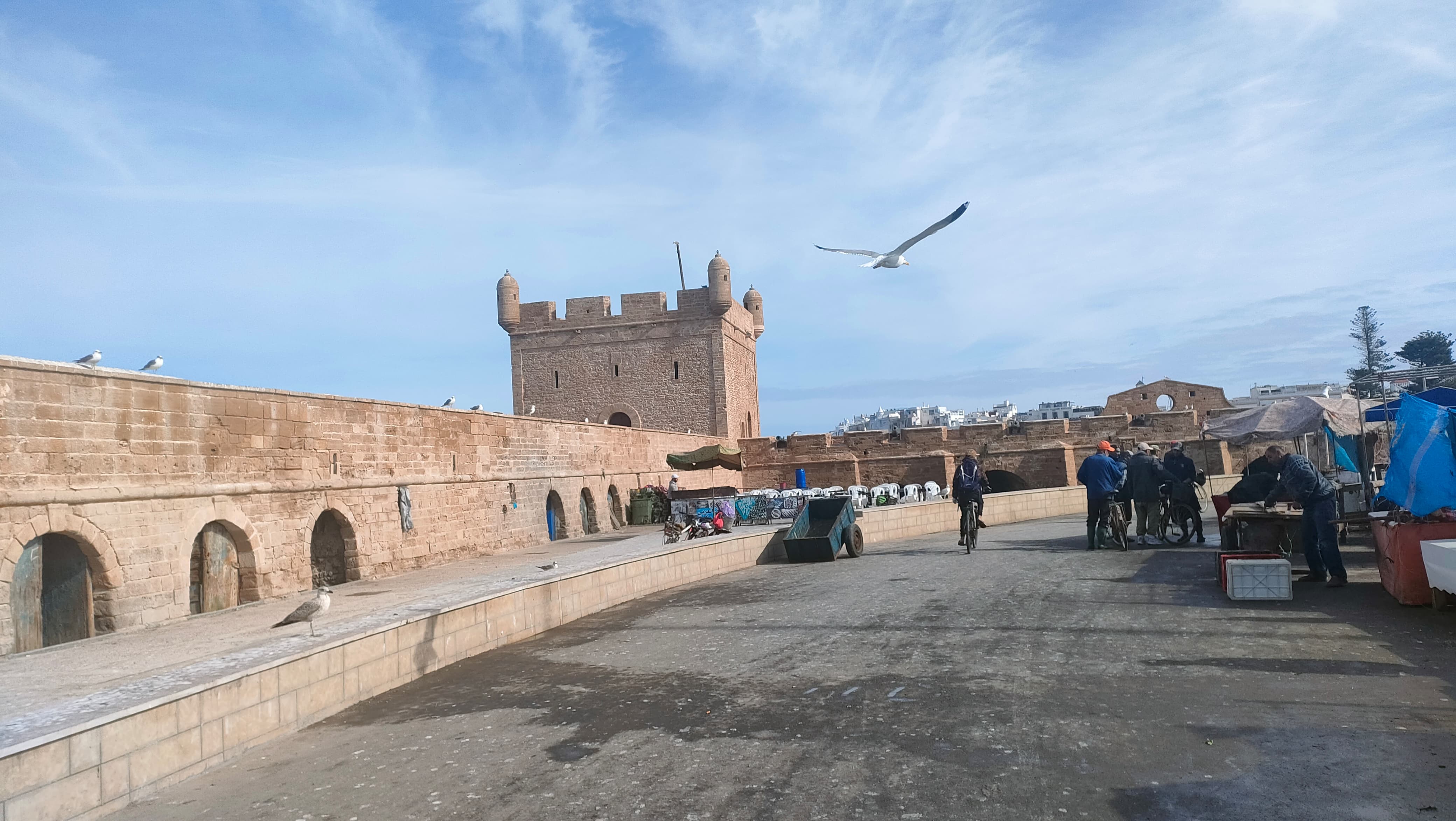 Elbo Tours — private tour guides Morocco