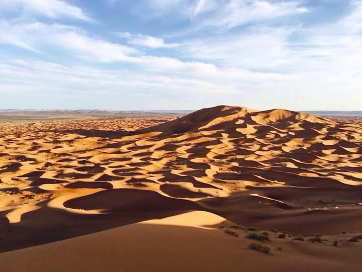 Desert