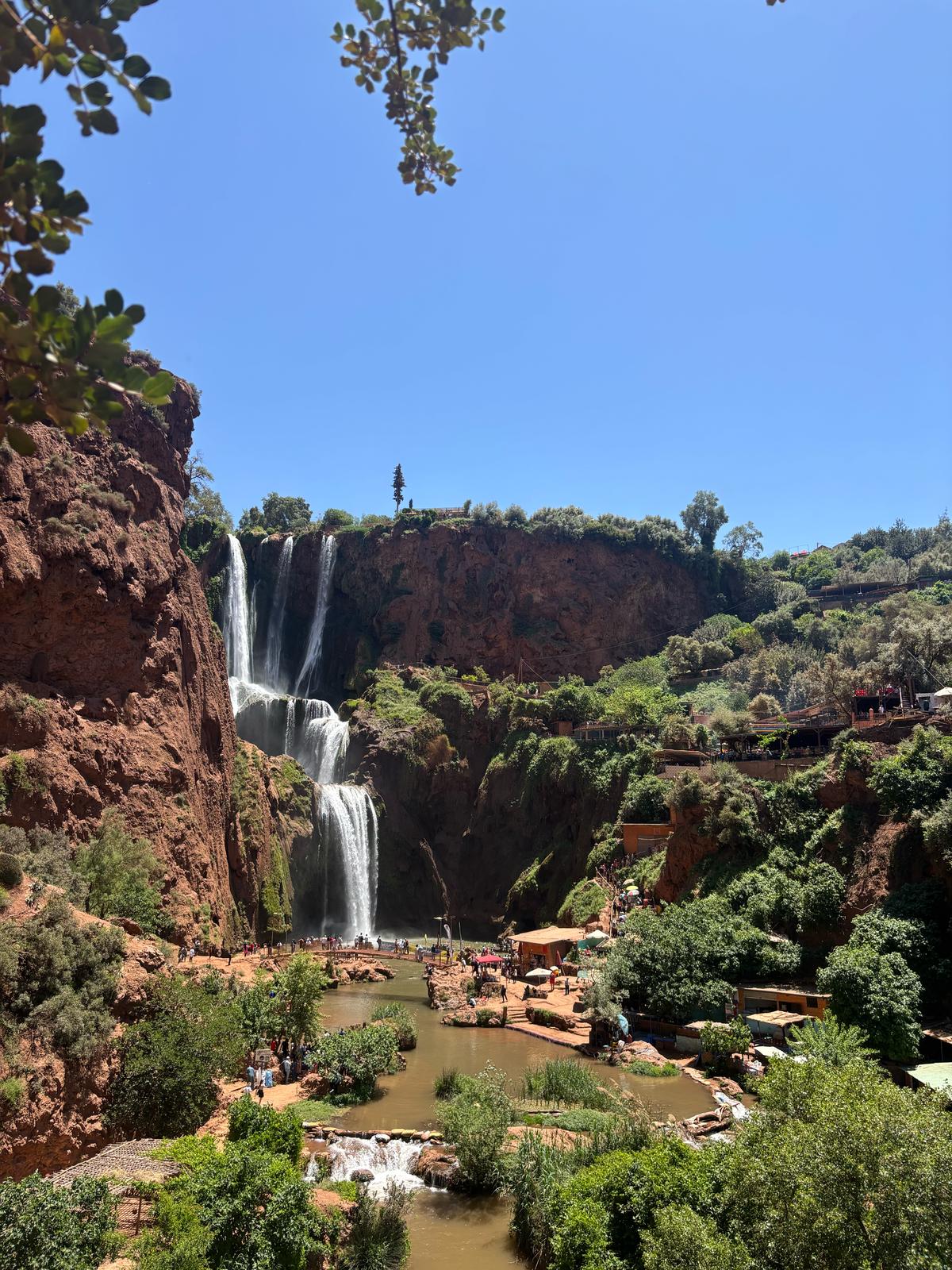 Nature